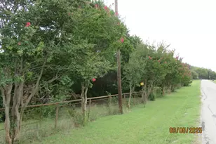 6 Highridge Farms Rd, Lowry Crossing, TX 75069 - Photo 1