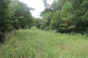 17700 FM901, Gordonville, TX 76245 - Photo 31