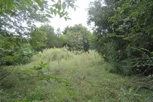 17700 FM901, Gordonville, TX 76245 - Photo 27