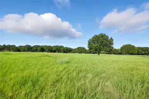 1286 Co Rd 4698, Boyd, TX 76023 - Photo 3