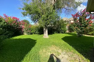 2645 Red Spruce Dr, Little Elm, TX 75068 - Photo 11