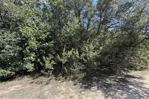 120 Live Oak Spur, Whitney, TX 76692 - Photo 3