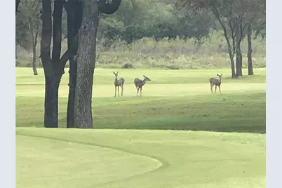 30075 Woodcrest Drive, Whitney, TX 76692 - Photo 13