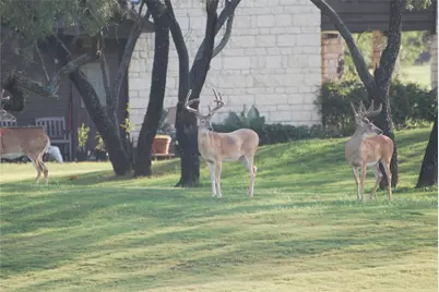 30075 Woodcrest Drive, Whitney, TX 76692 - Photo 5