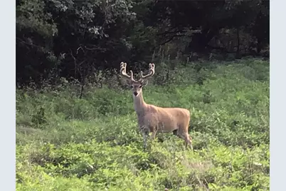 30075 Woodcrest Drive, Whitney, TX 76692 - Photo 7