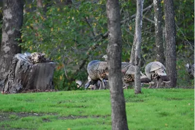 18049 Southhill Drive, Whitney, TX 76692 - Photo 11