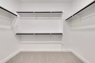 849 Blue Fescue Rd, Fort Worth, TX 76247 - Photo 19