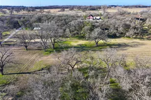 229 W Bluff Ln, Millsap, TX 76066 - Photo 29