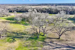 229 W Bluff Ln, Millsap, TX 76066 - Photo 31