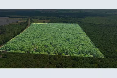 000 Fm 410 S, Bogata, TX 75417 - Photo 5