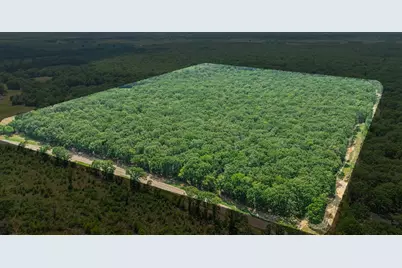 000 Fm 410 S, Bogata, TX 75417 - Photo 3