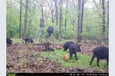 000 Fm 410 S, Bogata, TX 75417 - Photo 11