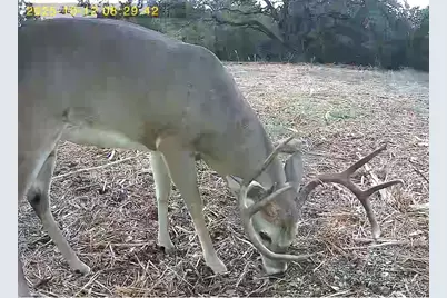 Tbd Fm 708B, Clifton, TX 76634 - Photo 1