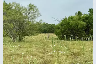 Tbd Fm 708B, Clifton, TX 76634 - Photo 5