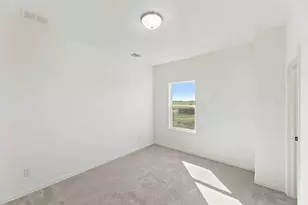 14100 Harden, Pilot Point, TX 76258 - Photo 37