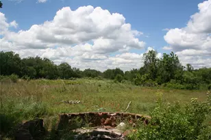 215A Buzbee Rd, Palo Pinto, TX 76484 - Photo 5