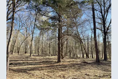 Tbd Lot 1 County Road 2200, Mineola, TX 75773 - Photo 15