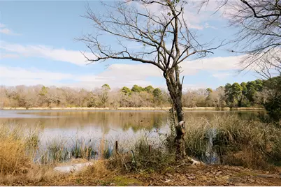 Tbd Lot 1 County Road 2200, Mineola, TX 75773 - Photo 5