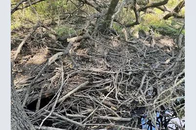 648 Cr 4618, Wolfe City, TX 75496 - Photo 27