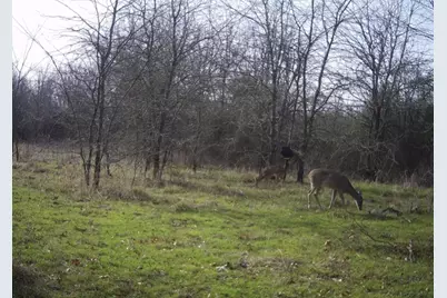 648 Cr 4618, Wolfe City, TX 75496 - Photo 23