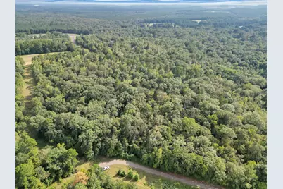 111 Cr 1511, Avinger, TX 75630 - Photo 19