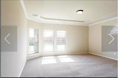 4205 Mineral Creek Trail, Celina, TX 75078 - Photo 3