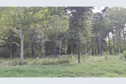 336 Grand View Drive, Athens, TX 75752 - Photo 5