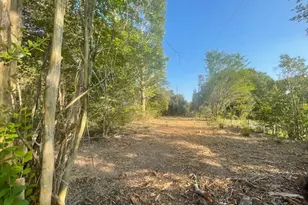 1631 Lcr 760, Groesbeck, TX 76642 - Photo 15