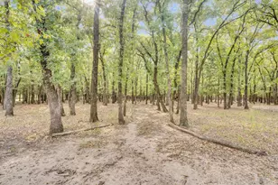 7731 Shady Ln, Scurry, TX 75158 - Photo 37