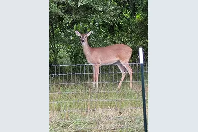 19707 Fm 485, Burlington, TX 76519 - Photo 31
