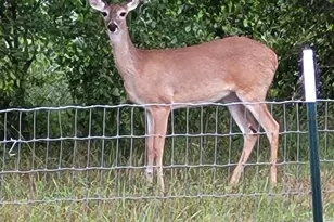 19707 FM 485, Burlington, TX 76519 - Photo 31