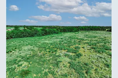 12.69 Acres S Farm Road 269 S, Saltillo, TX 75478 - Photo 11