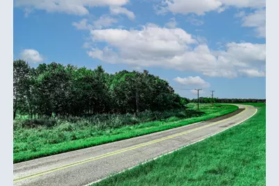 12.69 Acres S Farm Road 269 S, Saltillo, TX 75478 - Photo 13
