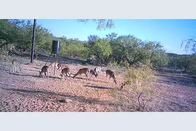 4599 Burwick Road, Jacksboro, TX 76458 - Photo 31