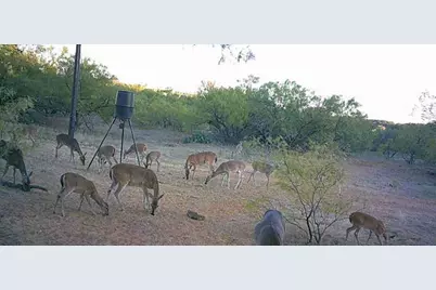 4599 Burwick Road, Jacksboro, TX 76458 - Photo 29