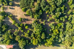 6045 County Rd 319, Alvarado, TX 76009 - Photo 23