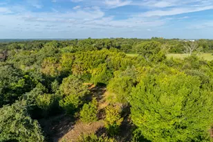 6045 County Rd 319, Alvarado, TX 76009 - Photo 11