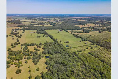 Tbd County Road 1280, Lake Creek, TX 75481 - Photo 13