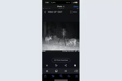 Tbd County Road 1280, Lake Creek, TX 75481 - Photo 35