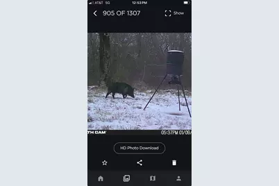 Tbd County Road 1280, Lake Creek, TX 75481 - Photo 33