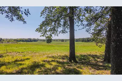 Tbd County Road 1280, Lake Creek, TX 75481 - Photo 29