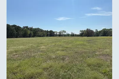 Tbd 1 County Road 1168 #Tract 1, Brashear, TX 75420 - Photo 7