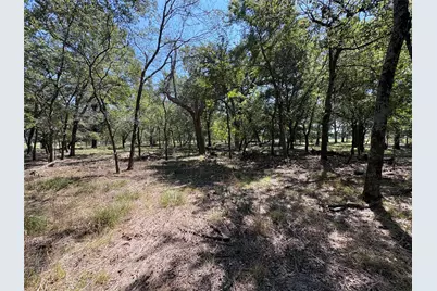 Tbd 1 County Road 1168 #Tract 1, Brashear, TX 75420 - Photo 5
