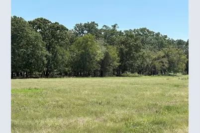 Tbd 1 County Road 1168 #Tract 1, Brashear, TX 75420 - Photo 9