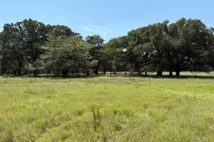 Tbd 1 County Road 1168, Brashear, TX 75420 - Photo 1