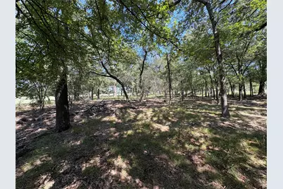Tbd 1 County Road 1168 #Tract 1, Brashear, TX 75420 - Photo 5