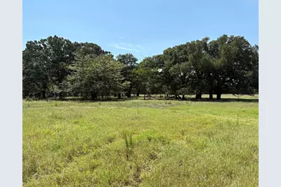 Tbd 1 County Road 1168 #Tract 1, Brashear, TX 75420 - Photo 1
