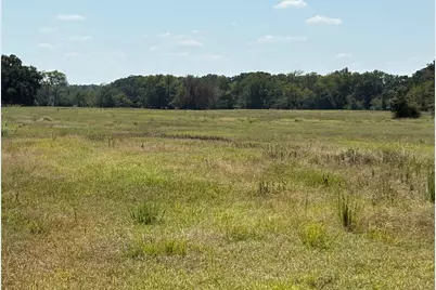 Tbd 1 County Road 1168 #Tract 1, Brashear, TX 75420 - Photo 11