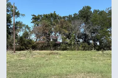Tbd 1 County Road 1168 #Tract 1, Brashear, TX 75420 - Photo 3