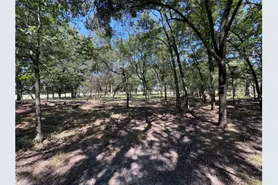 Tbd 1 County Road 1168 #Tract 1, Brashear, TX 75420 - Photo 3